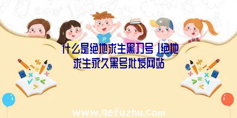 「什么是绝地求生黑刀号」|绝地求生永久黑号批发网站